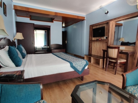 Hotel Krishna Luxury Room